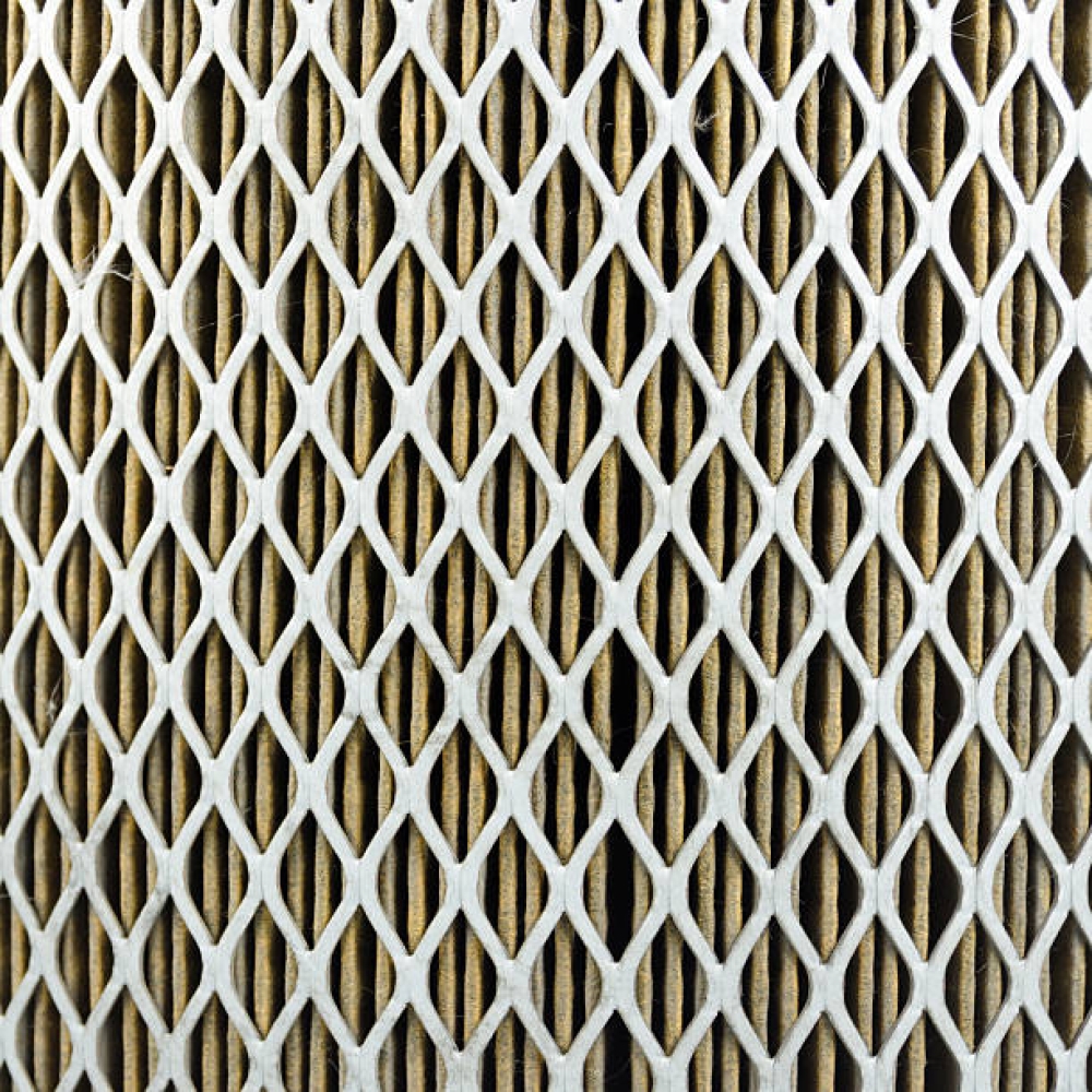 Expanded Filter Mesh