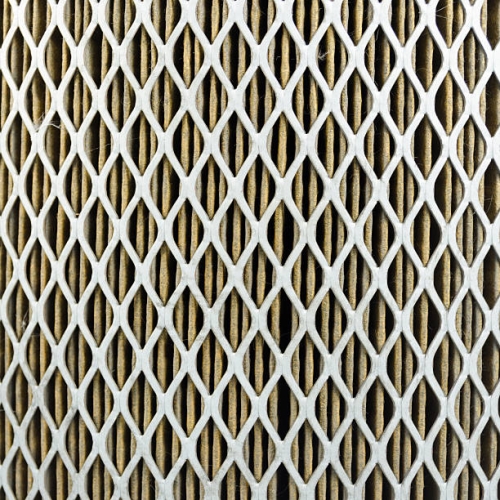 Expanded Filter Mesh